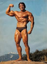 Arnold Schwarzenegger Net Worth 2024: How Rich Is He?